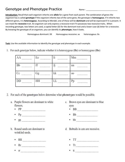 genotypes and phenotypes worksheet answers